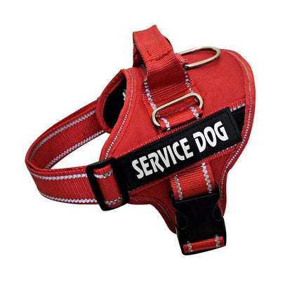 Ultimate Comfort Reflective Pet Chest Strap