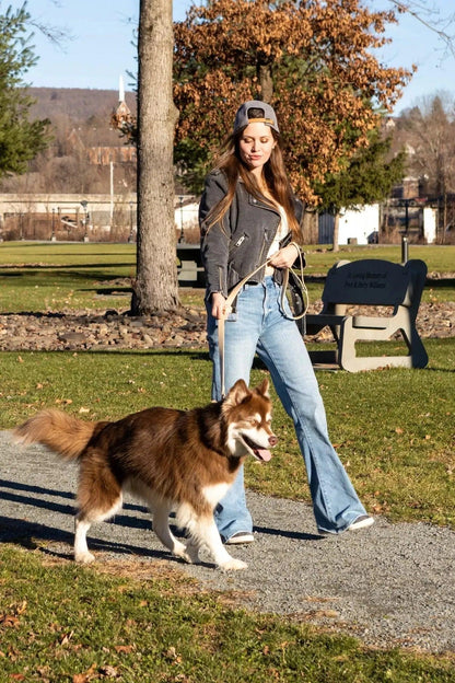 Starry Embrace Dog Bandana